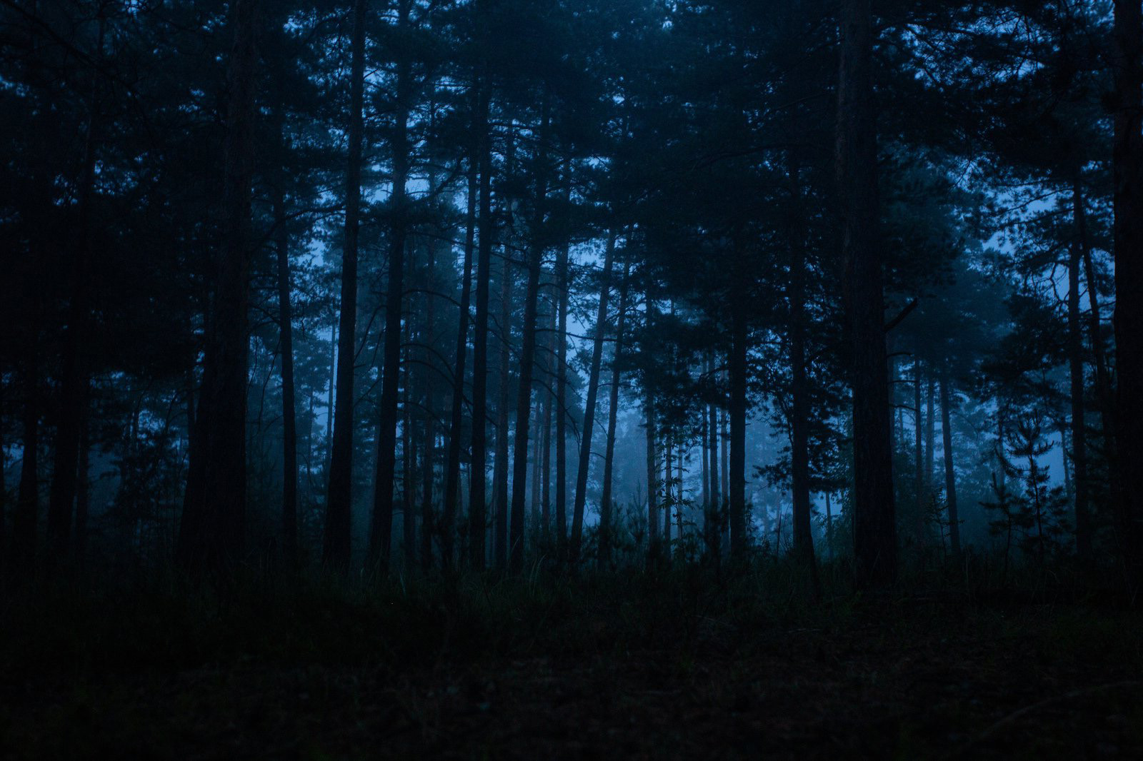 Подборка мистических историй из жизни смотреть онлайн