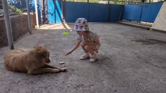 Дети любят домашних питомцев смотреть онлайн