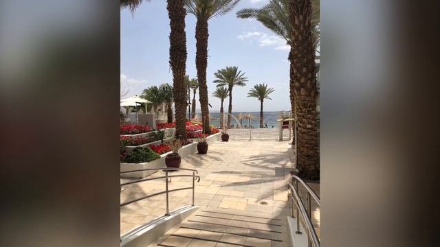 Поездка в Эйлат. День второй (1 апреля 2019/1)