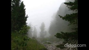 Ф. Лист Соната си минор В. Софроницкий