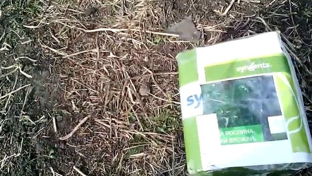 Озимый чеснок 2017.Пришел гербицид для борьбы с однолетними сорняками. смотреть онлайн