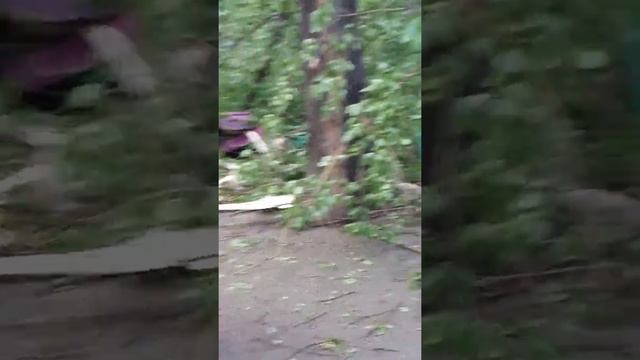 Ураган в Нижнем Тагиле,последствие...