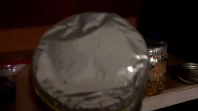 Introduction to the Nicaragua Mycology Project - Nicaragua Office Episode 3 смотреть онлайн