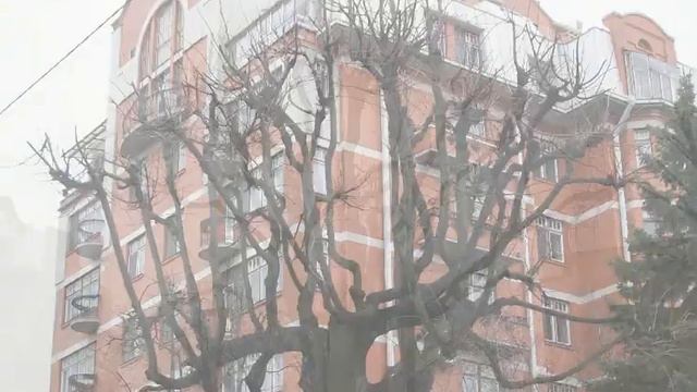 Петербургская весна смотреть онлайн