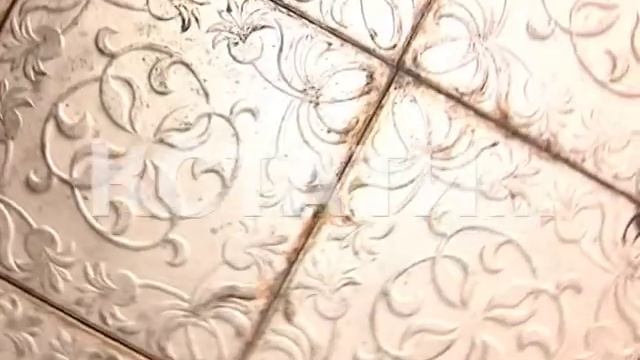 Черная плесень с пола до потолка затянула жилые квартиры смотреть онлайн