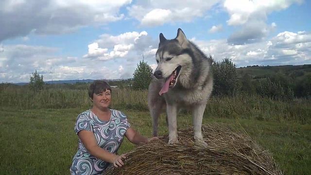 Покупка пруда для сада, начинаем установку.#прудвсаду,#пруд,#покупкапруда. смотреть онлайн