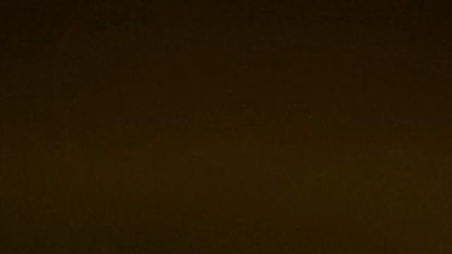 Dr. Kevin J. Tracey speaks on Bioelectronic Medicine смотреть онлайн