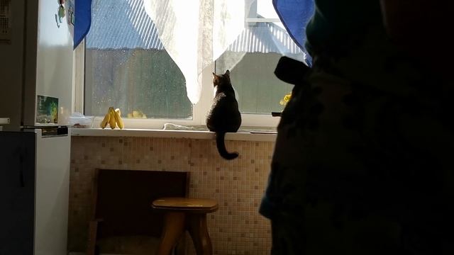 Vlog \\ Что делать если отключили электричество \\ Новые колонки \\ Вкусные творожники смотреть онлайн