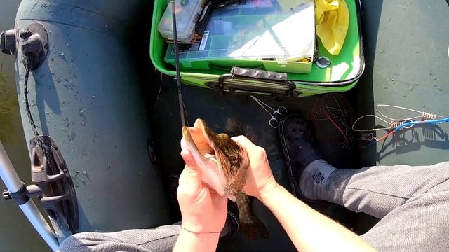 Трофейная щука , рыбалка на щуку, рыбалка на окуня, в поисках хищника смотреть онлайн