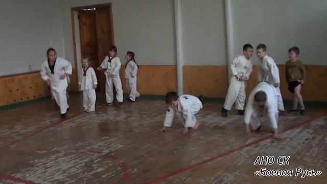 АНО СК "Боевая Русь". Тренировка в школе №115 #тхэквондо смотреть онлайн