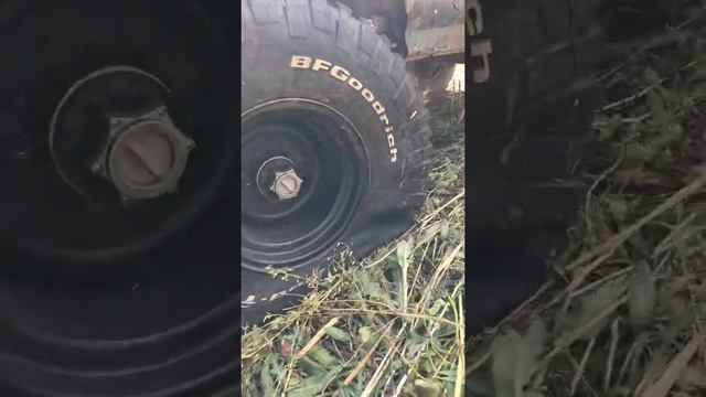 Еле видно сосок смотреть онлайн