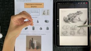 Урок 7. Простые и сложные формы