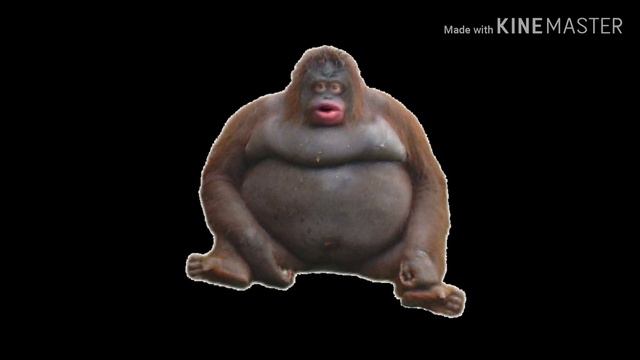 Uh Oh Stinky Song смотреть онлайн