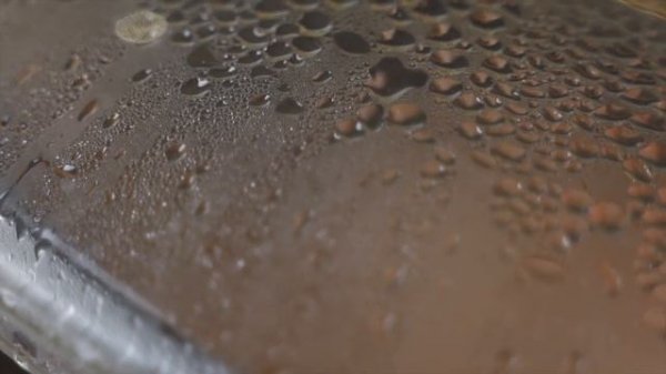 KosyginRSU Healthy Lasagna Anastasia МИМ 120.mp4