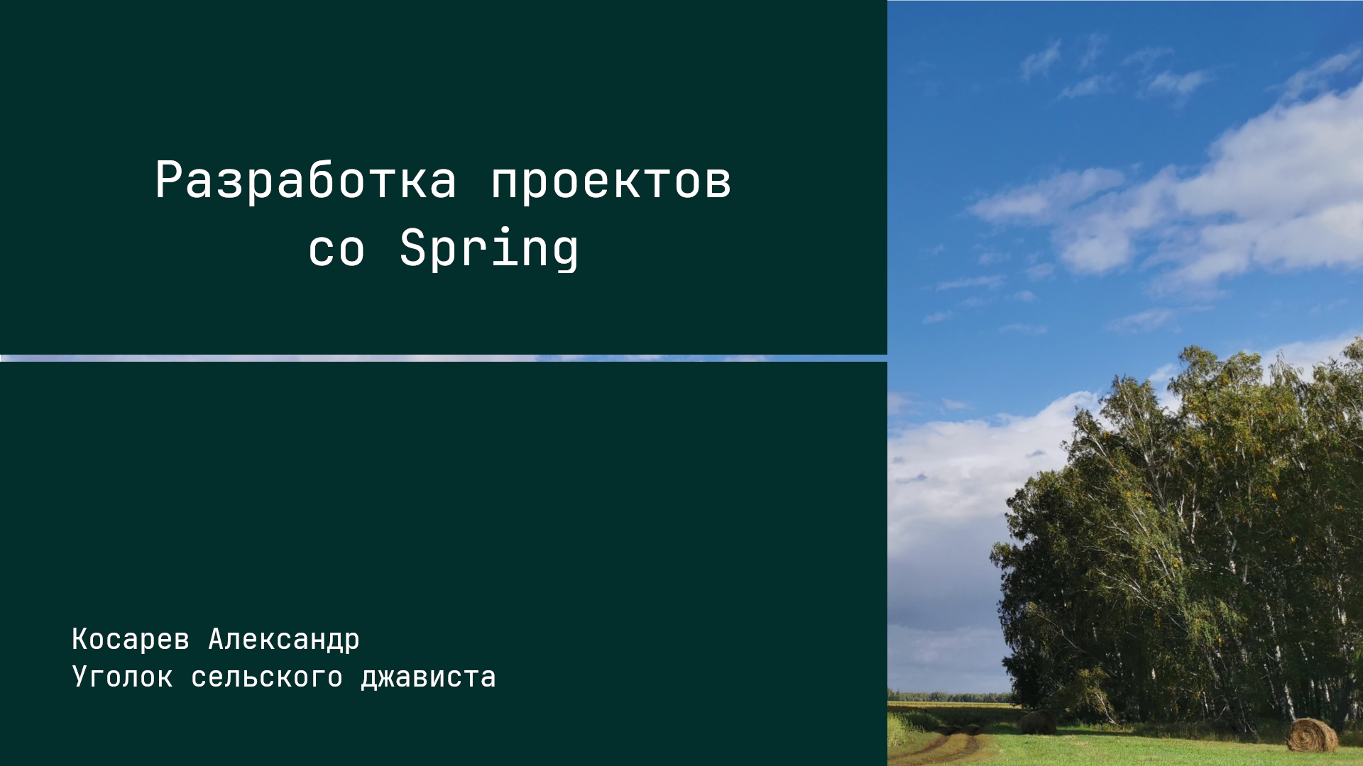 О цикле роликов - Разработка проектов со Spring смотреть онлайн