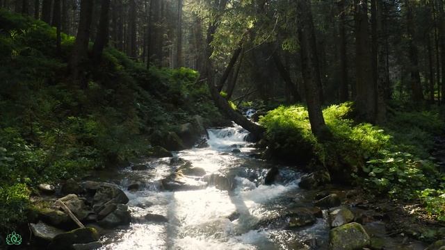 Beautiful Relaxing Music - Stop Overthinking, Stress Relief Music, Sleep Music, Calming Music #7 смотреть онлайн