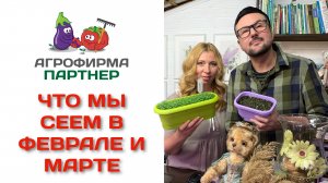 Что мы сеем в феврале и марте