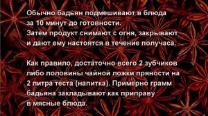 Бадьян. Где применяют Бадьян