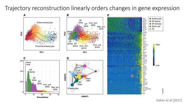 W20: Single-Cell RNA-Seq Analysis with Python - Day 3 смотреть онлайн