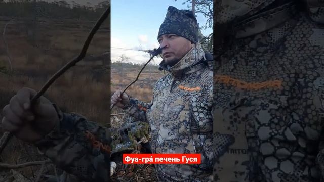 Фуа-гра́ печень добытого Гуся. Жарим на болоте на костре. #охота #фуагра #печень #рецепты смотреть онлайн