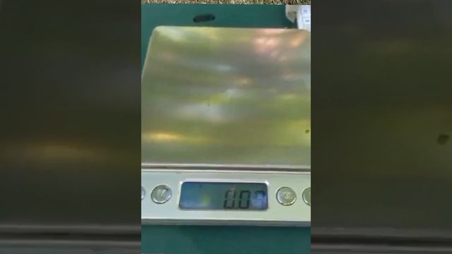 @REMBO super black grapes. Виноград Рембо #shortsyoutube смотреть онлайн