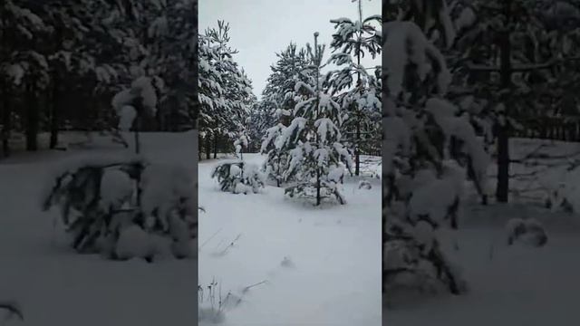 Следы лисы смотреть онлайн