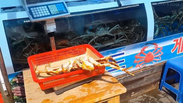 По чем Королевский Краб в Корее смотреть онлайн