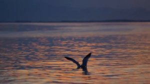 Марат Нигматуллин - Льется Божья благодать