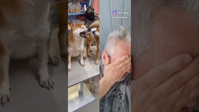 Будьте здоровы!