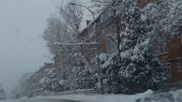 Снегопад в Краснодаре. Такого вы еще не видели! Падают деревья! Застряли!