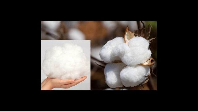 Выбираем одеяло: шелк, хлопок и бамбук в качестве наполнителей смотреть онлайн