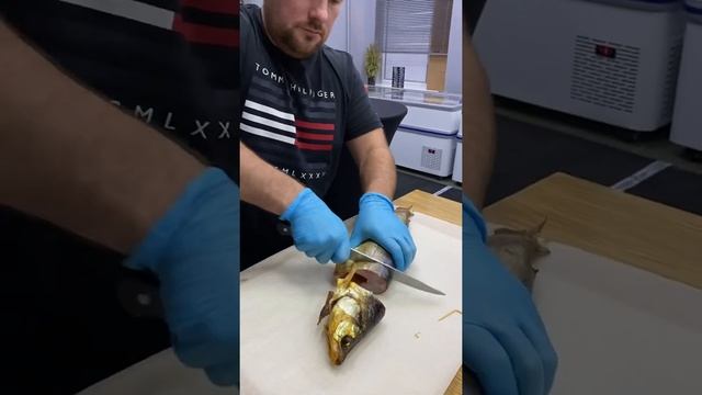 Омуль холодного копчения! смотреть онлайн