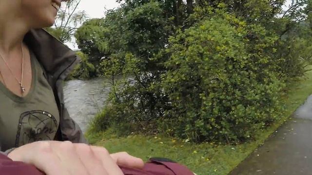 Путешествия Творчества