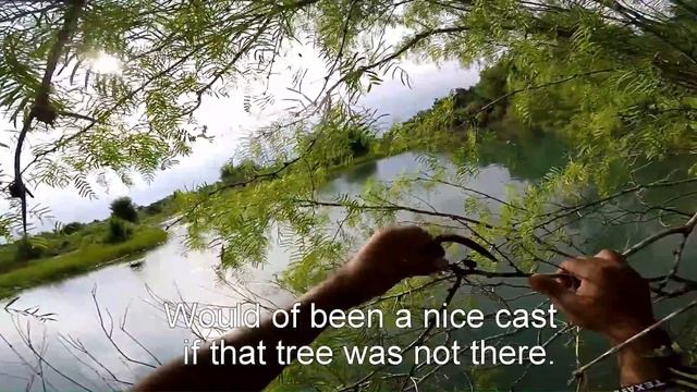 Bass Fishing With Live Minnows смотреть онлайн