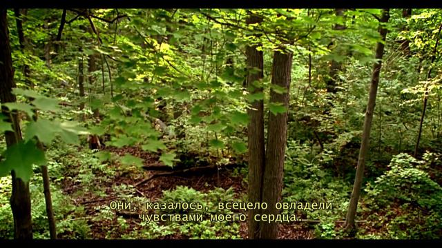 Избранного провидца воздвигну Я: вера, чтобы преодолеть смотреть онлайн