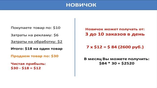 Видео 1. MS2.0. Суть методики. Сколько можно заработать смотреть онлайн