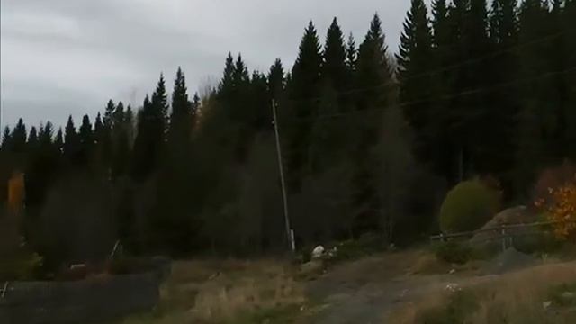ПВД в Зимник Бараний берег Пиньгуба смотреть онлайн