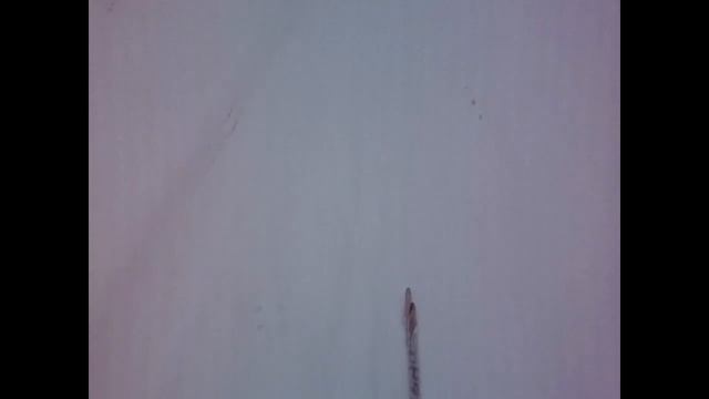 Однодневный поход с собакой на озеро|One-day Hike With The Dog On The Lake