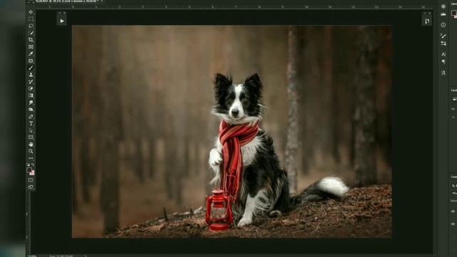 Magical dog portrait retouch in Photoshop (4×speed) смотреть онлайн