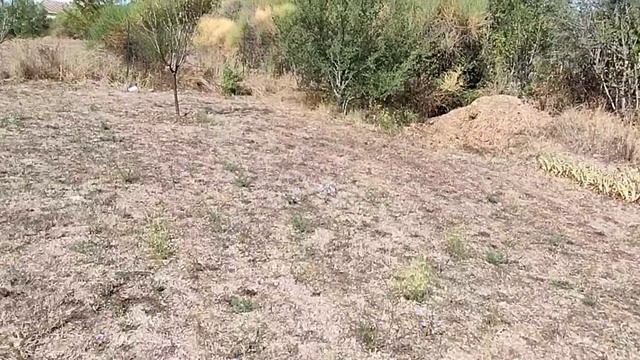 Гроза в Провансе и в этом вся СОЛЬ? Пробежимся вокруг дома,а лету пришел конец… смотреть онлайн