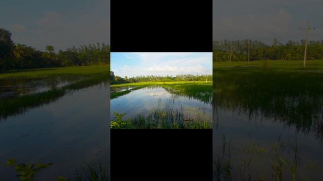 Nikon Coolpix L29 Photo's Video Quality Check? |#nikon #shortsvideo смотреть онлайн