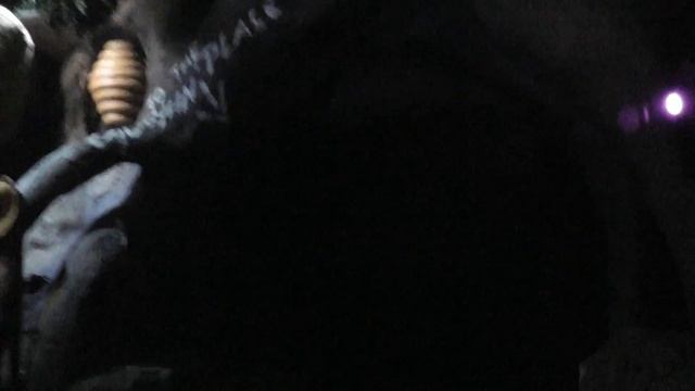 Splash Mountain DisneyWorld Florida