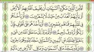 Шейх Айман Сувейд сура Ан Нахль стр 272