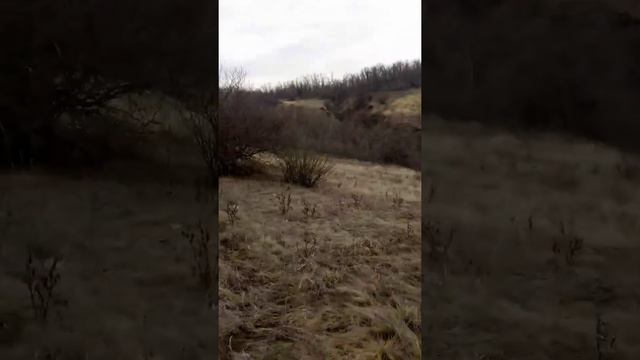 Нагонка щенка РПГ смотреть онлайн