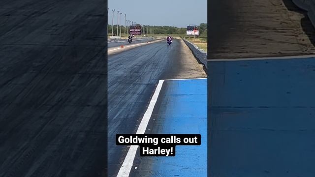 Honda Goldwing vs. Harley Grudge Race! смотреть онлайн