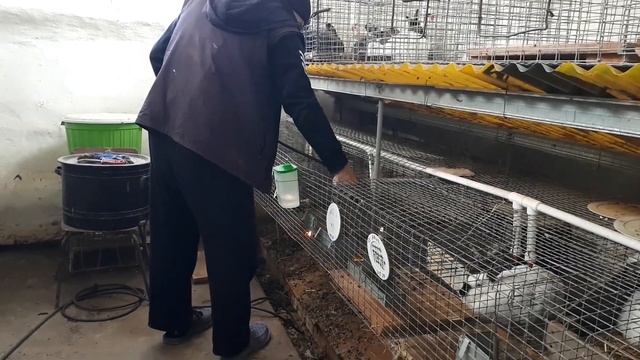 Кролиководство от А до Я Часть 1 смотреть онлайн