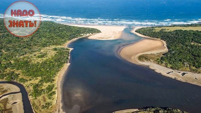 Как Сделать Полезное