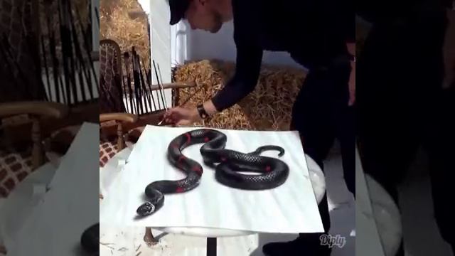 Как нарисовать иллюзию "СТАКАН С ВОДОЙ" смотреть онлайн