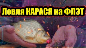 Ловля КРУПНОГО КАРАСЯ НА ФЛЭТ фидер   Рыбалка на дикаре   Осенний ЖОР КРУПНОГО КАРАСЯ