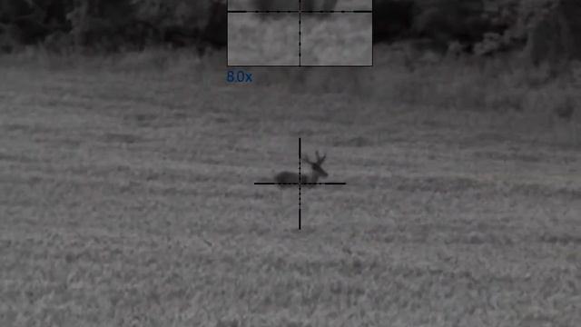 2. Pulsar Digisight Ultra N455 LRF смотреть онлайн